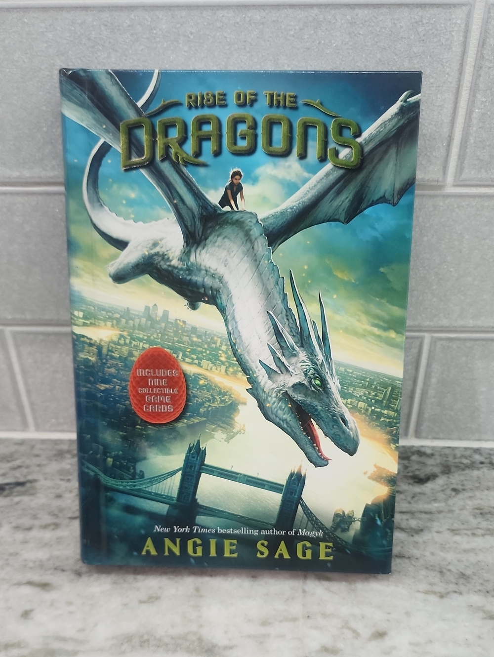 Rise of the Dragons Angie Sage Book